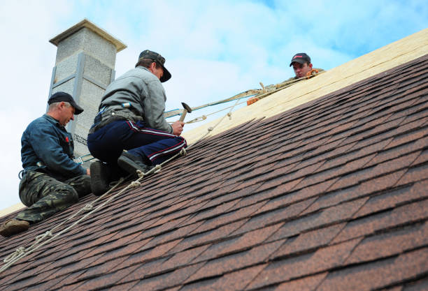 Best Roof Gutter Cleaning  in Colorado City, TX
